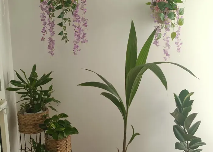 Charming House Smart Apartamento